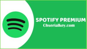 Spotify Premium Apk Pc